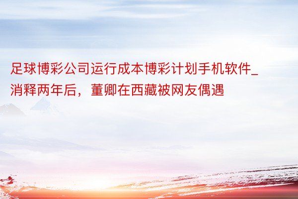 足球博彩公司运行成本博彩计划手机软件_消释两年后，董卿在西藏被网友偶遇